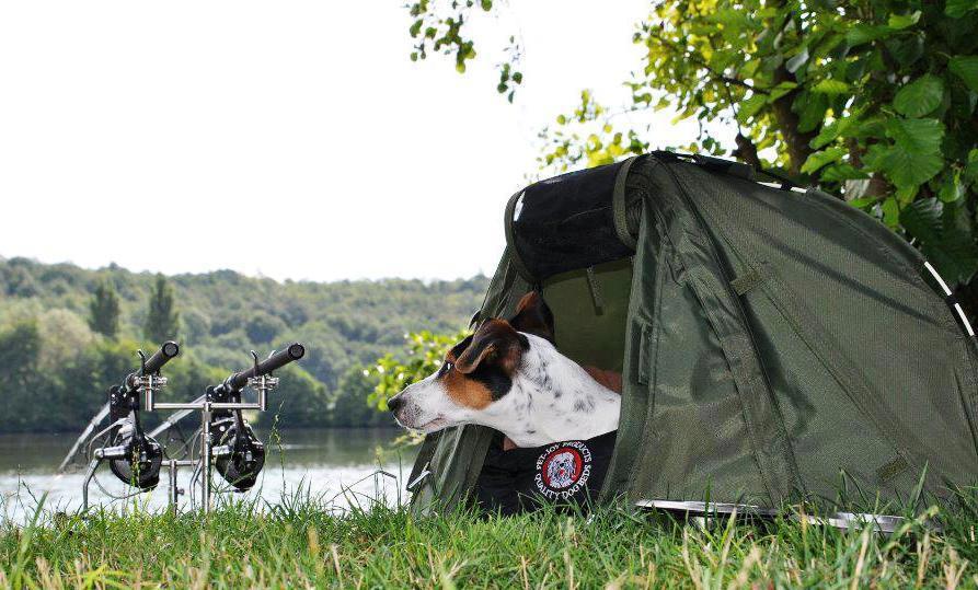 funny fishing  - 61524.jpg